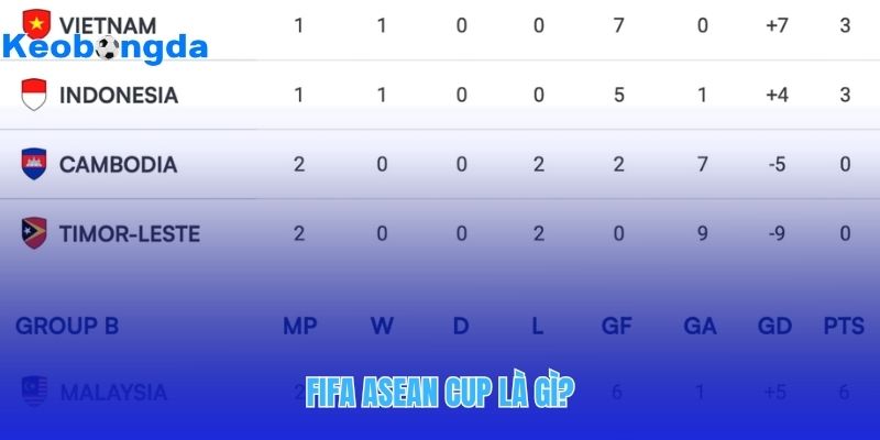 Giải bóng đá cấp đội tuyển quốc gia FIFA asean cup