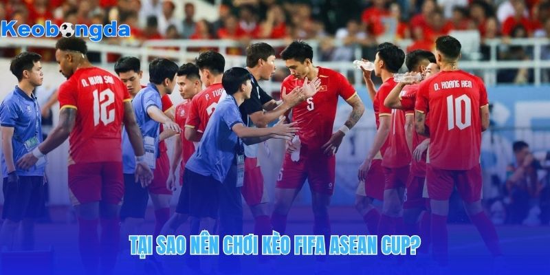 Thể thức thi đấu khốc liệt của giải FIFA asean cup